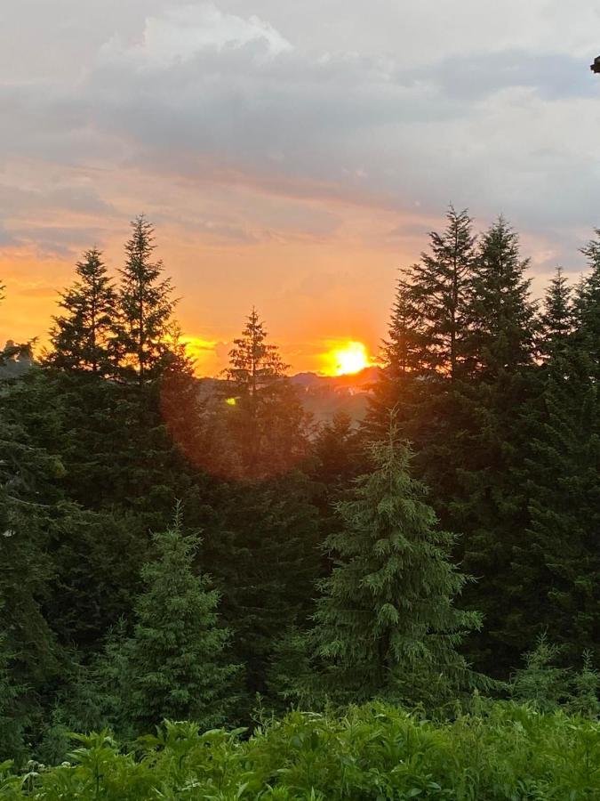 Camping Nad Karpatamy Spa Hotel Hrobiscse Kültér fotó